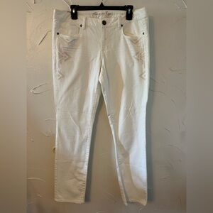American Eagle White Embroidered Embellished Skinny Jeans SZ 14